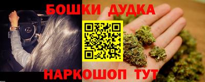 спиды Гай