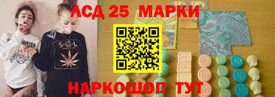 спиды Гай