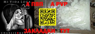 спиды Гай