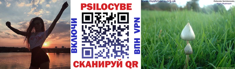 Галлюциногенные грибы ЛСД  Тосно 