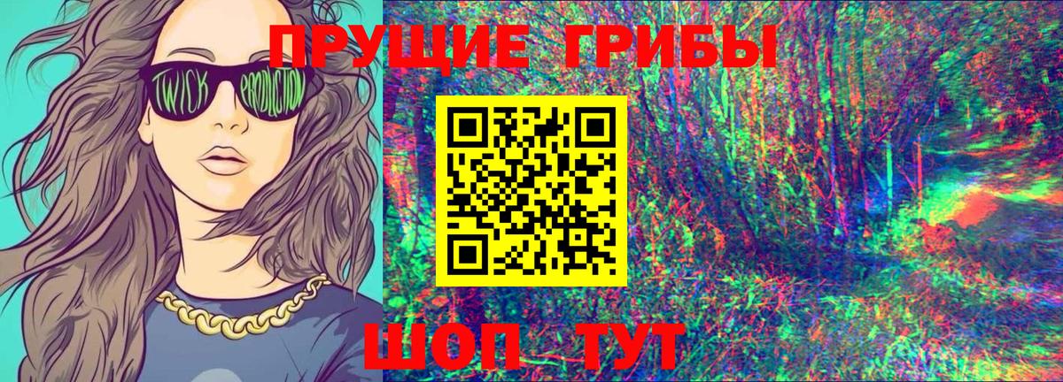 Галлюциногенные грибы прущие грибы  цена наркотик  Тосно  Псилоцибиновые грибы Psilocybine cubensis 