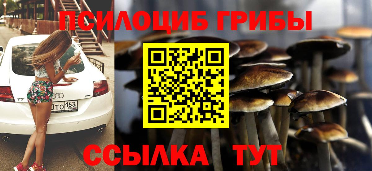 Тосно  Псилоцибиновые грибы MAGIC MUSHROOMS  Галлюциногенные грибы мухоморы  Вход с VPN 