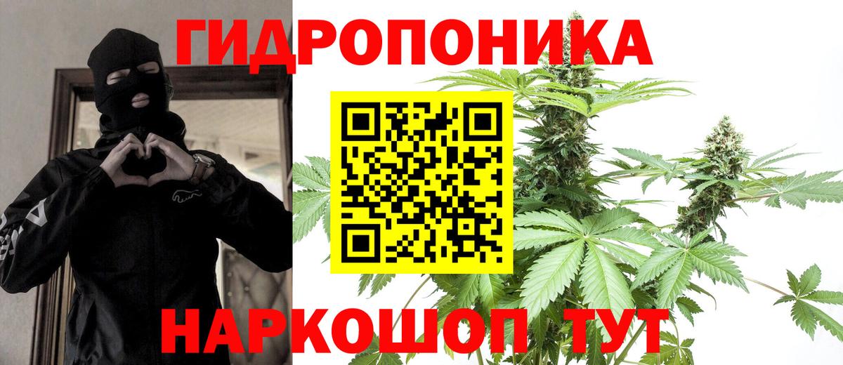 Канабис Amnesia Тосно