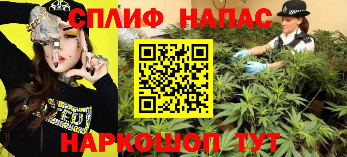 Канабис планчик  Вход с VPN  Шишки марихуана тримм  Тосно 
